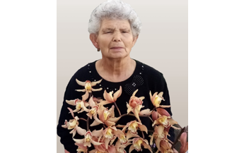 Júlia Fernanda Teodósio